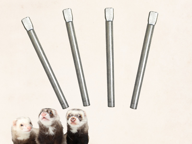 LIP0002 フェレットサークル LIP0002 フェレットサークル | L.I.P love into the pet ペットへの愛