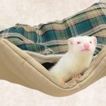 LIP3037チェックの中綿ハンモック