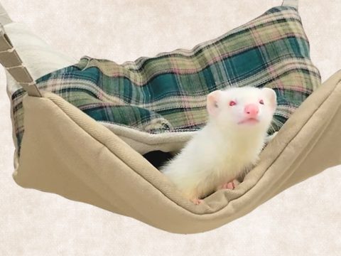 LIP3037チェックの中綿ハンモック